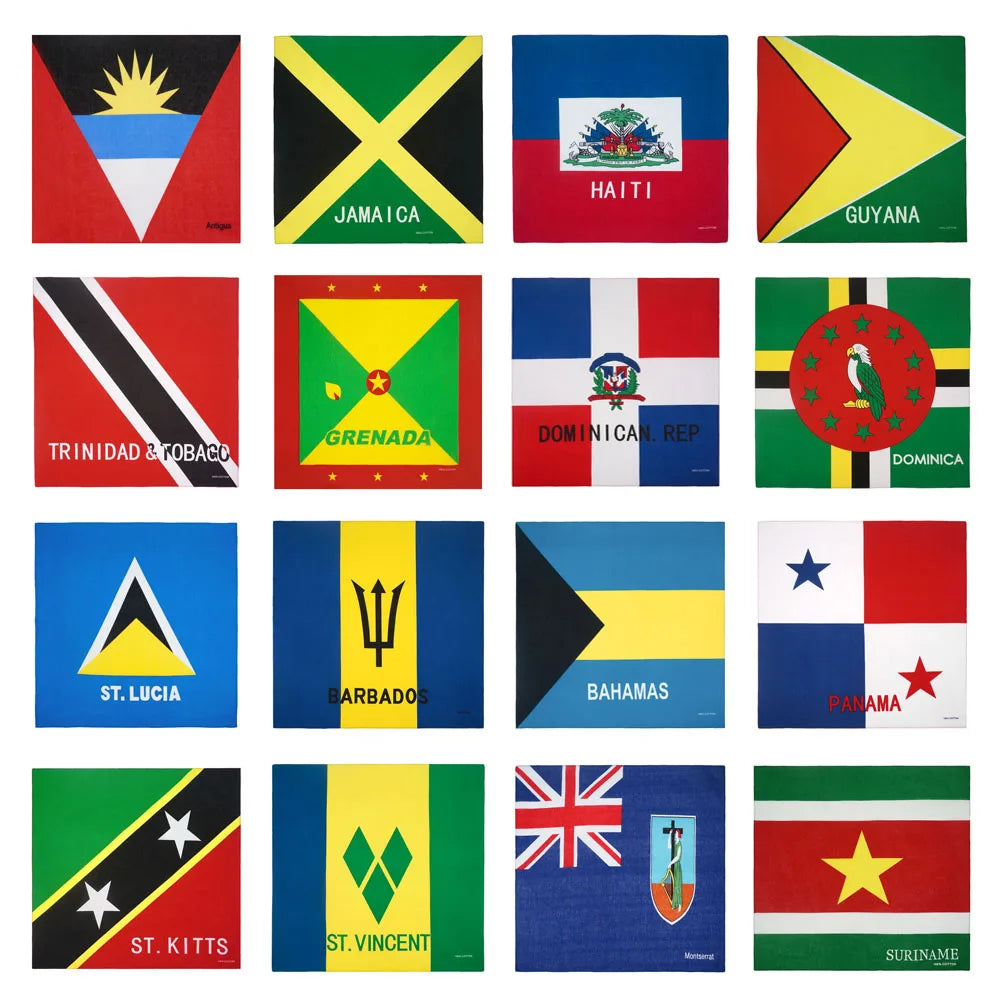 Eine Sammlung verschiedener karibischer Nationalflaggen in Rasterform.