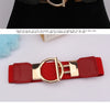 A red leather belt with a gold buckle is shown against a white background.