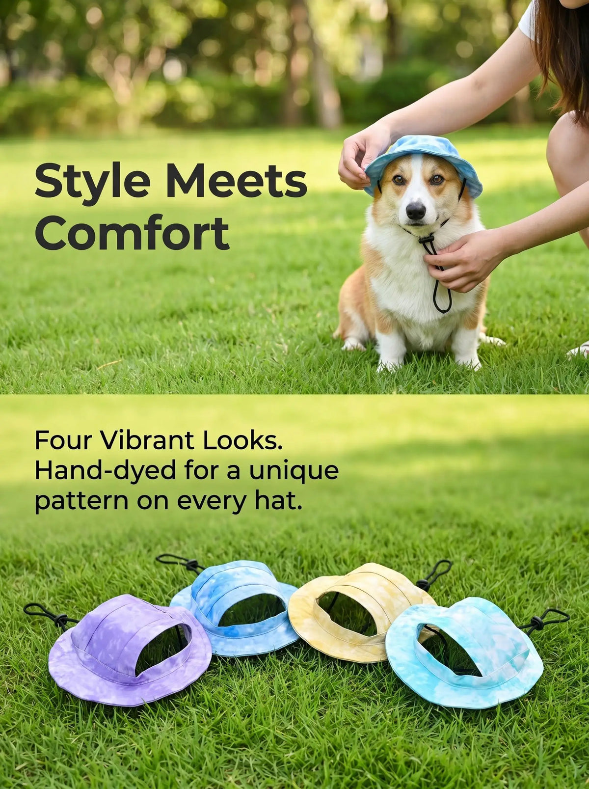 Quatre chapeaux pour animaux teints à la main (violet, bleu, jaune et sarcelle) posés sur de l'herbe verte avec un chien à pr