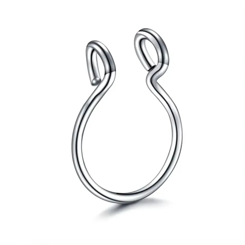 Ein Paar silberner Edelstahl-Fälschunges Piercings-Nasenringe.
