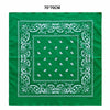 A green fabric square featuring white paisley embroidery and a central square design.