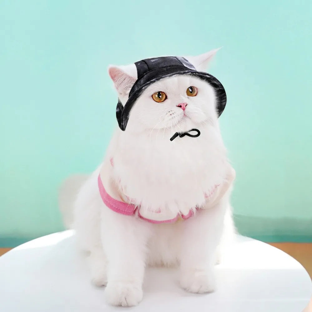 Un chat blanc portant un chapeau pour animaux noir réglable avec un petit nœud sur le front.