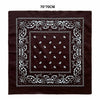 Dark brown square fabric featuring white paisley and decorative border embroidery
