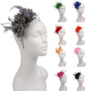Fascinateur élégant à plumes porté sur une tête de mannequin, dans diverses couleurs sombres et vives.