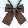 A brown fabric butterfly ribbon tie set with a bow and a long tie.
