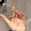 Una mano sostiene un par de gafas cuadradas transparentes contra un fondo gris claro.