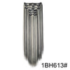 Long straight hair extensions with silver and gray highlights