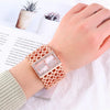 A close-up of a fashion quartz diamond watch with a gold stainless steel bracelet on a wrist next to some paper and a succule