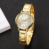 6-Piece Women's Fashion Jewelry Set