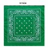 A green fabric square featuring white paisley and decorative borders.
