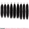 A bundle of long curly hair extensions in black