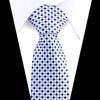 Blue and white checkered silk necktie worn under a white dress shirt.
