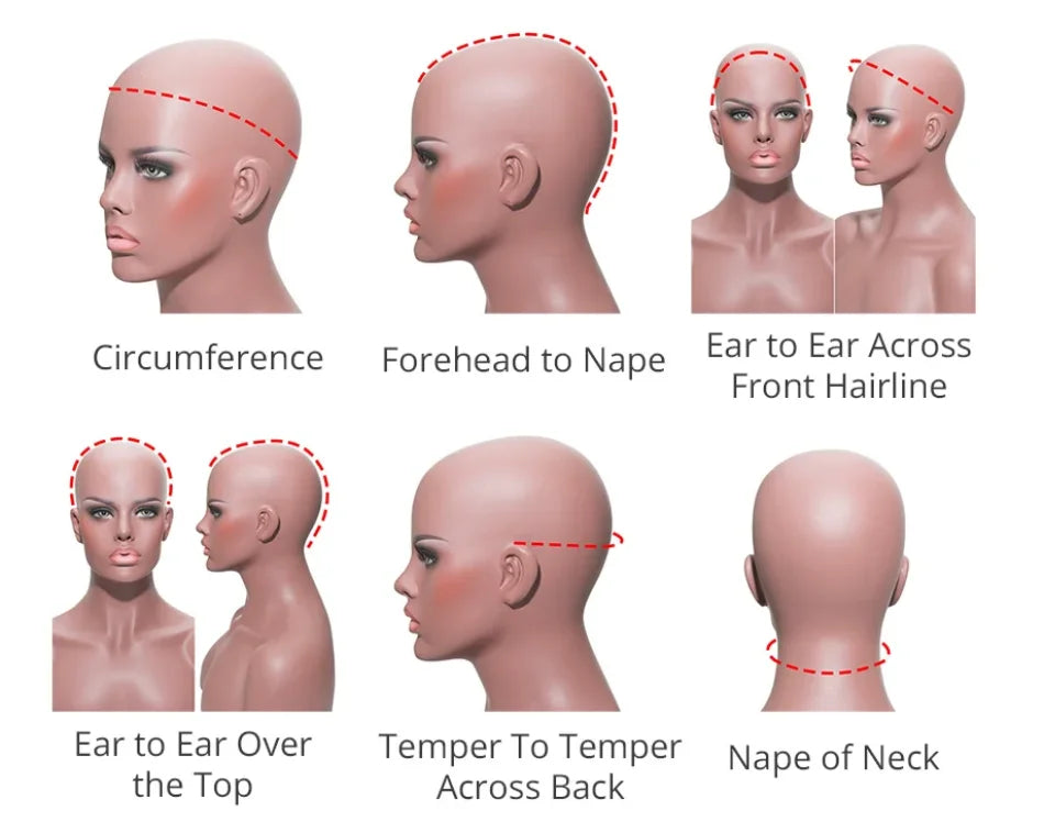 Diagram showing various measurements of a human head and neck, including circumference, forehead to nape, front hairline, and