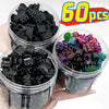 A hand holds several clear containers filled with a set of black and colorful adjustable hair claw clips.