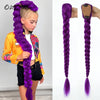 A girl shows off a long purple synthetic braided ponytail for kids girls
