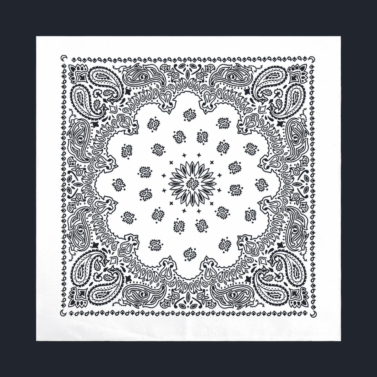 Black and white intricate paisley pattern design on a white background