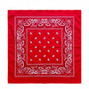 A red fabric with white paisley embroidery forming a square pattern inside a decorative border.