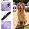 Un golden retriever portant un chapeau de soleil violet et une sangle noire réglable pour l'extérieur.